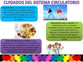 Ejercicio físico: La realización de ejercicio
físico moderado con regularidad es un
factor de suma importancia que favorece
la circulación de la sangre, por lo que
previene las enfermedades de las arterias
y el corazón.
Acudir periódicamente al médico: Visitar
periódicamente al cardiólogo es una medida que
ayuda a alejar las enfermedades del corazón y del
aparato circulatorio. Más aún, el cuidado médico
se hace indispensable cuando existe algún
problema en el aparato circulatorio
Alimentación sana y variada: Una
alimentación sana, con buenas
cantidades de frutas, verduras, cereales;
con pocas grasas, pocas frituras, e
ingerida con moderación, favorece el
buen funcionamiento del aparato
circulatorio, evitando enfermedades del
mismo.
 