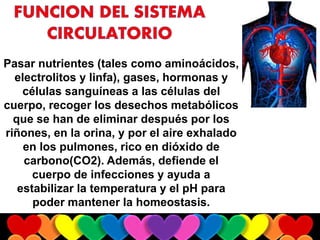 Pasar nutrientes (tales como aminoácidos,
electrolitos y linfa), gases, hormonas y
células sanguíneas a las células del
cuerpo, recoger los desechos metabólicos
que se han de eliminar después por los
riñones, en la orina, y por el aire exhalado
en los pulmones, rico en dióxido de
carbono(CO2). Además, defiende el
cuerpo de infecciones y ayuda a
estabilizar la temperatura y el pH para
poder mantener la homeostasis.
 