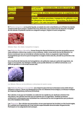 Glóbulos blancos o
leucocitos
Son grandes, contienen núcleo, defienden el cuerpo de
enfermedades.
Plaquetas Fragmentos de células necesarios para la coagulación de la
sangre.
Plasma Líquido, contiene proteínas, transporta los glóbulos rojos,
las plaquetas, los nutrimentos, las enzimas, las hormonas,
los gases y las sales inorgánicas.
El Plasma sanguíneo: es la parte liquida, es salado de color amarillento y en él flotan los demás
componentes de la sangre, también lleva los alimentos y las sustancias de desecho recogidas
de las células. El plasma cuando se coagula la sangre, origina el suero sanguíneo.
Glóbulos Rojos: Son vitales, transportan el oxígeno.
Los Glóbulos Rojos o Hematíes: tienen forma de discos bicóncavo y son tan pequeños que en
cada milímetro cúbico hay cuatro a cinco millones, miden unas siete micras de diámetro, no
tienen núcleo por eso se consideran células muertas, tiene un pigmento rojizo llamado
hemoglobina que les sirve para transportar el oxigeno molecular (O2) desde los pulmones a las
células.
Una insuficiente fabricación de hemoglobina o de glóbulos rojos por parte del organismo, da
lugar a una anemia, de etiología variable, pues puede deberse a un déficit nutricional, a un
defecto genético o a diversas causas más.
Los Glóbulos Blancos son las defensas o anticuerpos de nuestro cuerpo.
Los Glóbulos Blancos o Leucocitos: son mayores pero menos numerosos (unos siete mil por
milímetro cúbico). Tiene una destacada función el el Sistema Inmunológico, al efectuar trabajos
de limpieza (fagocitos) y defensa (linfocitos).
Son células vivas que se trasladan, se salen de los capilares y se dedican a destruir los
microbios y las células muertas que encuentran por el organismo. También producen
antitoxinas o anticuerpos que neutralizan los venenos de los microorganismos que producen
las enfermedades infecciosas.
Las Plaquetas: Son células muy pequeñas,sirven para taponar las heridas y evitar hemorragias.
En realidad son fragmentos de unas células especializadas denominadas megacariocito.
Participan en la coagulación de la sangre.
 