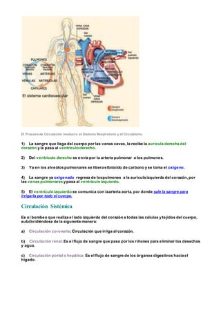 El Procesode Circulación involucra el Sistema Respiratorio y el Circulatorio.
1) La sangre que llega del cuerpo por las venas cavas, la recibe la aurícula derecha del
corazón y la pasa al ventrículo derecho.
2) Del ventrículo derecho se envía por la arteria pulmonar a los pulmones.
3) Ya en los alveólos pulmonares se libera elbióxido de carbono y se toma el oxígeno.
4) La sangre ya oxigenada regresa de lospulmones a la aurícula izquierda del corazón, por
las venas pulmonares y pasa al ventrículo izquierdo.
5) El ventrículo izquierdo se comunica con laarteria aorta, por donde sale la sangre para
irrigarla por todo el cuerpo.
Circulación Sistémica
Es el bombeo que realiza el lado izquierdo del corazón a todas las células y tejidos del cuerpo,
subdividiéndose de la siguiente manera:
a) Circulación coronaria: Circulación que irriga al corazón.
b) Circulación renal: Es el flujo de sangre que paso por los riñones para eliminar los desechos
y agua.
c) Circulación portal o hepática: Es el flujo de sangre de los órganos digestivos hacia el
hígado.
 