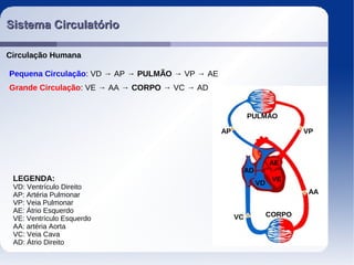 Sistema CirculatórioSistema Circulatório
Circulação Humana
Pequena Circulação:: VD → AP → PULMÃO → VP → AE
Grande Circulação:: VE → AA → CORPO → VC → AD
LEGENDA:
VD: Ventrículo Direito
AP: Artéria Pulmonar
VP: Veia Pulmonar
AE: Átrio Esquerdo
VE: Ventrículo Esquerdo
AA: artéria Aorta
VC: Veia Cava
AD: Átrio Direito
VD
AP
PULMÃO
VP
AE
VE
AA
CORPOVC
AD
 