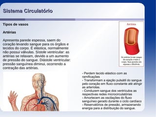 Sistema CirculatórioSistema Circulatório
Tipos de vasos
Artérias
Apresenta parede espessa, saem do
coração levando sangue para os órgãos e
tecidos do corpo. É elástica, normalmente
não possui válvulas. Sístole ventricular: as
artérias se relaxam, devido a um aumento
de pressão do sangue. Diástole ventricular:
pressão sanguínea diminui, ocorrendo a
contração das artérias.
- Perdem tecido elástico com as
ramificações
- Transformam a ejeção pulsátil do sangue
pelo coração em fluxo constante até atingir
as arteríolas.
- Conduzem sangue dos ventrículos as
respectivas redes microcirculatórias
- Amortecem as oscilações do fluxo
sanguíneo gerado durante o ciclo cardíaco
- Reservatórios de pressão, armazenando
energia para a distribuição do sangue.
 