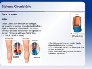 Sistema CirculatórioSistema Circulatório
Tipos de vasos
Veias
Veias: vasos que chegam ao coração,
carregando o sangue oriundo dos tecidos e
órgãos (venoso). Não são tão espessas
como as artérias e suportam uma pressão
menor. Possuem válvulas (garantir a
circulação unidirecional).
- Depósito de sangue em função da alta
distenbilidade (baixa pressão)
- Conduto para o transporte do sangue dos
tecidos ao coração
- 60% do total do sangue está nas veias
Presença de valvas
 