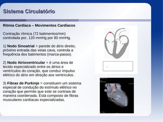 Sistema CirculatórioSistema Circulatório
Ritmia Cardíaca – Movimentos Cardíacos
Contração rítmica (72 batimentos/min)
controlada por, 120 mmHg por 80 mmHg.
1) Nodo Sinoatrial = parede do átrio direito,
próximo entrada das veias cava, controla a
frequência dos batimentos (marca-passo).
2) Nodo Atrioventricular = é uma área de
tecido especializado entre os átrios e
ventrículos do coração, que conduz impulso
elétrico do átrio em direção aos ventrículos.
3) Fibras de Purkinje = constituem um sistema
especial de condução do estímulo elétrico no
coração que permite que este se contraia de
maneira coordenada. Está composto de fibras
musculares cardíacas especializadas.
 