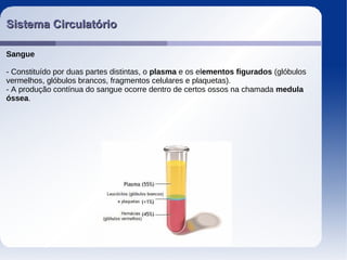 Sistema CirculatórioSistema Circulatório
Sangue
- Constituído por duas partes distintas, o plasma e os elementos figurados (glóbulos
vermelhos, glóbulos brancos, fragmentos celulares e plaquetas).
- A produção contínua do sangue ocorre dentro de certos ossos na chamada medula
óssea.
 