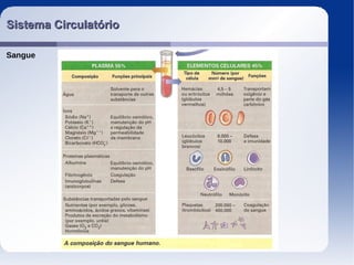 Sistema CirculatórioSistema Circulatório
Sangue
 
