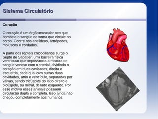 Sistema CirculatórioSistema Circulatório
Coração
O coração é um órgão muscular oco que
bombeia o sangue de forma que circule no
corpo. Ocorre nos anelídeos, artrópodes,
moluscos e cordados.
A partir dos répteis crocodilianos surge o
Septo de Sabatier, uma barreira física
ventricular que impossibilita a mistura de
sangue venoso com o arterial, dividindo o
coração em duas cavidades, direita e
esquerda, cada qual com outras duas
cavidades, átrio e ventrículo, separadas por
valvas, sendo tricúspide do lado direito e
bicúspide, ou mitral, do lado esquerdo. Por
esse motivo esses animais possuem
circulação dupla e completa. Isso ainda não
chegou completamente aos humanos.
 