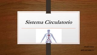 Sistema Circulatorio
Joselis Cuica
HPS-182-00017V
 