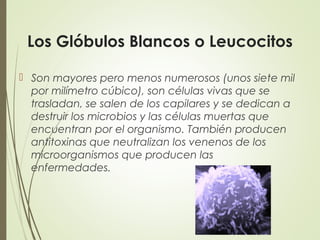 Los Glóbulos Blancos o Leucocitos
 Son mayores pero menos numerosos (unos siete mil
por milímetro cúbico), son células vivas que se
trasladan, se salen de los capilares y se dedican a
destruir los microbios y las células muertas que
encuentran por el organismo. También producen
antitoxinas que neutralizan los venenos de los
microorganismos que producen las
enfermedades.
 