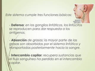 Este sistema cumple tres funciones básicas:
- Defensa: en los ganglios linfáticos, los linfocitos
se reproducen para dar respuesta a los
antígenos.
- Absorción de grasas: la mayor parte de las
grasas son absorbidas por el sistema linfático y
transportadas posteriormente hacia la sangre.
- Intercambio capilar: recupera sustancias que
el flujo sanguíneo ha perdido en el intercambio
capilar.
 