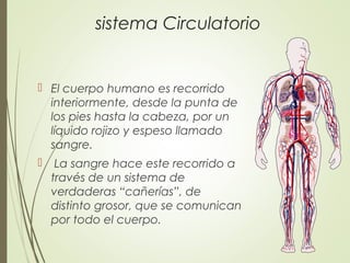sistema Circulatorio
 El cuerpo humano es recorrido
interiormente, desde la punta de
los pies hasta la cabeza, por un
líquido rojizo y espeso llamado
sangre.
 La sangre hace este recorrido a
través de un sistema de
verdaderas “cañerías”, de
distinto grosor, que se comunican
por todo el cuerpo.
 