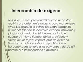 Intercambio de oxígeno:
Todas las células y tejidos del cuerpo necesitan
recibir constantemente oxígeno para mantenerse
vivos. Ese oxígeno lo extrae la sangre desde los
pulmones (donde se acumula cuando inspiramos)
y los glóbulos rojos lo distribuyen por todo el
cuerpo. Al mismo tiempo, dejan el oxígeno y
sacan de los tejidos el productos de desecho
llamado anhídrido carbónico (o dióxido de
carbono) para llevarlo a los pulmones y desde allí
botarlo al exterior cuando expiramos.
 