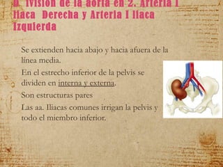 Sistema circulatorio (Siistema Venoso y Arterial) | PPT