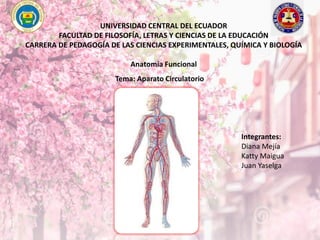 UNIVERSIDAD CENTRAL DEL ECUADOR
FACULTAD DE FILOSOFÍA, LETRAS Y CIENCIAS DE LA EDUCACIÓN
CARRERA DE PEDAGOGÍA DE LAS CIENCIAS EXPERIMENTALES, QUÍMICA Y BIOLOGÍA
Anatomía Funcional
Tema: Aparato Circulatorio
Integrantes:
Diana Mejía
Katty Maigua
Juan Yaselga
 
