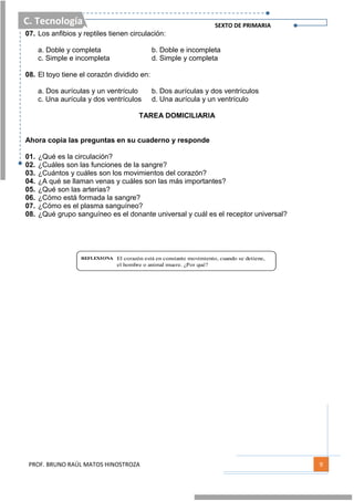 C. Tecnología SEXTO DE PRIMARIA
PROF. BRUNO RAÚL MATOS HINOSTROZA 9
07. Los anfibios y reptiles tienen circulación:
a. Doble y completa b. Doble e incompleta
c. Simple e incompleta d. Simple y completa
08. El toyo tiene el corazón dividido en:
a. Dos aurículas y un ventrículo b. Dos aurículas y dos ventrículos
c. Una aurícula y dos ventrículos d. Una aurícula y un ventrículo
TAREA DOMICILIARIA
Ahora copia las preguntas en su cuaderno y responde
01. ¿Qué es la circulación?
02. ¿Cuáles son las funciones de la sangre?
03. ¿Cuántos y cuáles son los movimientos del corazón?
04. ¿A qué se llaman venas y cuáles son las más importantes?
05. ¿Qué son las arterias?
06. ¿Cómo está formada la sangre?
07. ¿Cómo es el plasma sanguíneo?
08. ¿Qué grupo sanguíneo es el donante universal y cuál es el receptor universal?
REFLEXIONA El corazón está en constante movimiento, cuando se detiene,
el hombre o animal muere. ¿Por qué?
 