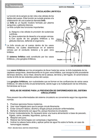 C. Tecnología SEXTO DE PRIMARIA
PROF. BRUNO RAÚL MATOS HINOSTROZA 6
CIRCULACIÓN LINFÁTICA
La función de la sangre es dar vida a las células de los
tejidos del cuerpo. Esta función se cumple gracias a la
colaboración de una sustancia llamada linfa.
La linfa es un líquido incoloro formado por plasma
sanguíneo y glóbulos blancos.
La linfa cumple tres funciones importantes:
a. Asegura a las células la provisión de sustancias
nutritivas.
b. Lleva sustancias de desecho a la sangre venosa.
c. Con ayuda de los ganglios linfáticos y los
glóbulos blancos, defiende el organismo.
La linfa circula por el cuerpo dentro de los vasos
linfáticos, los cuales desembocan en el sistema
venoso por el conducto torácico y la gran vena
linfática.
El sistema linfático está constituido por los vasos
linfáticos, y los ganglios linfáticos.
La circulación linfática
Los vasos linfáticos son los encargados de llevar hasta las venas, la linfa trasladada de los
capilares sanguíneos, desembocando en la gran vena linfática, que recoge la linfa procedente
del brazo derecho, de la mitad, derecha de la cabeza, del tórax y del hígado. El canal torácico
recibe la linfa de las restantes partes del cuerpo.
Los ganglios linfáticos, son nudosidades que se forman en las confluencias de varios vasos
linfáticos. En ellos la linfa circula lentamente, dando lugar a la multiplicación de los linfocitos,
formándose así la pus
REGLAS DE HIGIENE PARA LA PREVENCIÓN DE ENFERMEDADES DEL SISTEMA
CIRCULATORIO
Para prevenir las enfermedades del sistema circulatorio es conveniente seguir las siguientes
normas:
1. Practicar ejercicios físicos modernos.
2. Usar ropa holgada para que la sangre circule libremente.
3. Evitar consumir tabaco, alcohol y drogas porque producen enfermedades.
4. Bañarse diariamente con agua fría, porque favorece la circulación.
5. Comer moderadamente. Es necesario tener una buena alimentación a base de pescado,
hígado, carne, cereales, legumbres, quinua, etc.
6. Respirar aire puro.
7. Retener las hemorragias con compresas o ligamentos.
8. Inclinar la cabeza hacia atrás y aplicar paños de agua fría sobre la frente, en caso de
hemorragias nasales.
 