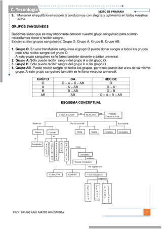 C. Tecnología SEXTO DE PRIMARIA
PROF. BRUNO RAÚL MATOS HINOSTROZA 7
9. Mantener el equilibrio emocional y conducirnos con alegría y optimismo en todos nuestros
actos.
GRUPOS SANGUÍNEOS
Debemos saber que es muy importante conocer nuestro grupo sanguíneo para cuando
necesitamos donar o recibir sangre.
Existen cuatro grupos sanguíneos: Grupo O, Grupo A, Grupo B, Grupo AB.
1. Grupo O. En una transfusión sanguínea el grupo O puede donar sangre a todos los grupos
pero sólo recibe sangre del grupo O.
A este grupo sanguíneo se le llama también donante o dador universal.
2. Grupo A. Sólo puede recibir sangre del grupo A o del grupo O.
3. Grupo B. Sólo puede recibir sangre del grupo B o del grupo O.
4. Grupo AB. Puede recibir sangre de todos los grupos, pero sólo puede dar a los de su mismo
grupo. A este grupo sanguíneo también se le llama receptor universal.
GRUPO DA RECIBE
O O – A – B – AB O
A A – AB O – A
B B – AB O – B
AB AB O – A – B – AB
ESQUEMA CONCEPTUAL
HOMBRE
Sistema Circulatorio
Vasos Sanguíneos
A
R
T
E
R
I
A
V
E
N
A
S
O
S
V
A
S
SANGRECORAZON
Sus órganos son
C
A
P
I
A
R
E
S
L
CIRCULACION PLANTAS TEJIDO
CONDUCTOR
Abierto Cerrado
Artrópodos P
E
C
E
S
I
N
F
I
B
A
O
S
E
P
T
I
L
R
E
S
E
V
A
S
M
A
M
I
E
R
O
F
S
Doble Simple Completa Incompleta
en por
Por su recorrido Si se mezclaPuede ser
en
en
como
mediante
comprende
 