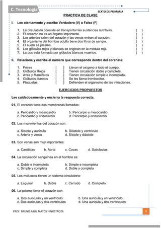 C. Tecnología SEXTO DE PRIMARIA
PROF. BRUNO RAÚL MATOS HINOSTROZA 8
PRACTICA DE CLASE
I. Lee atentamente y escribe Verdadero (V) o Falso (F)
1. La circulación consiste en transportar las sustancias nutritivas. ( )
2. El corazón no es un órgano importante. ( )
3. Las arterias salen del corazón y las venas entran al corazón. ( )
4. El organismo del hombre adulto tiene dos litros de sangre. ( )
5. El suero es plasma. ( )
6. Los glóbulos rojos y blancos se originan en la médula roja. ( )
7. La pus está formada por glóbulos blancos muertos. ( )
II. Relaciona y escribe el número que corresponde dentro del corchete:
1. Peces [ ] Llevan el oxígeno a todo el cuerpo.
2. Glóbulos Rojos [ ] Tienen circulación doble y completa.
3. Aves y Mamíferos [ ] Tienen circulación simple e incompleta.
4. Glóbulos blancos [ ] Se les llama trombocitos.
5. Plaquetas [ ] Defienden el organismo de las infecciones.
EJERCICIOS PROPUESTOS
Lee cuidadosamente y encierra la respuesta correcta.
01. El corazón tiene dos membranas llamadas:
a. Pericardio y mesocardio b. Pericarpio y mesocardio
c. Pericardio y endocardio d. Pericarpio y endocardio
02. Los movimientos del corazón son:
a. Sístole y aurícula b. Diástole y ventrículo
c. Arteria y venas d. Sístole y diástole
03. Son venas son muy importantes:
a. Carótidas b. Aorta c. Cavas d. Subclavias
04. La circulación sanguínea en el hombre es:
a. Doble e incompleta b. Simple e incompleta
c. Simple y completa d. Doble y completa
05. Los moluscos tienen un sistema circulatorio:
a. Lagunar b. Doble c. Cerrado d. Completo
06. La paloma tiene el corazón con:
a. Dos aurículas y un ventrículo b. Una aurícula y un ventrículo
c. Dos aurículas y dos ventrículos d. Una aurícula y dos ventrículos
 