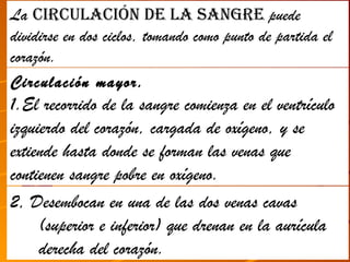 La circulación de la sangre puede
dividirse en dos ciclos, tomando como punto de partida el
corazón.
Circulación mayor.
1.El recorrido de la sangre comienza en el ventrículo
izquierdo del corazón, cargada de oxígeno, y se
extiende hasta donde se forman las venas que
contienen sangre pobre en oxígeno.
2, Desembocan en una de las dos venas cavas
     (superior e inferior) que drenan en la aurícula
     derecha del corazón.
 