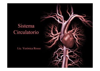 Sistema
Circulatorio
Lic. Verónica Rosso
 