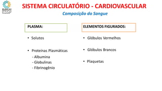 PLASMA:
• Solutos
• Proteínas Plasmáticas
- Albumina
- Globulinas
- Fibrinogênio
ELEMENTOS FIGURADOS:
• Glóbulos Vermelhos
• Glóbulos Brancos
• Plaquetas
Composição do Sangue
SISTEMA CIRCULATÓRIO - CARDIOVASCULAR
 