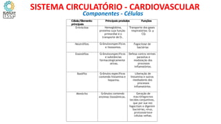Célula/Elemento Principaisprodutos Funções
principais
Eritrócitos Hemoglobina,
proteína cuja função
primordial é o
transporte de O2
Transporte dos gases
respiratórios: O2
CO2
Neutrófilos Grânulosespecíficos
e lisossomos.
Fagocitose de
bactérias
Eosinófilos Grânulosespecíficos
e substâncias
farmacologicamente
ativas.
Defesa contra vermes
parasitas e
modulação dos
processos
inflamatórios.
Basófilo Grânulos específicos
contendo histamina e
heparina.
Liberação de
histamina e outros
mediadores dos
processos
inflamatórios.
Monócito Grânulos contendo
enzimas lisossômicas.
Geração de
macrófagosnos
tecidos conjuntivos,
que por sua vez
fagocitam e digerem
bactérias,vírus,
protozoáriose
células velhas.
.
e
.
Componentes - Células
SISTEMA CIRCULATÓRIO - CARDIOVASCULAR
 