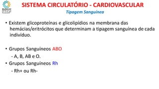 • Existem glicoproteínas e glicolipídios na membrana das
hemácias/eritrócitos que determinam a tipagem sanguínea de cada
indivíduo.
• Grupos Sanguíneos ABO
- A, B, AB e O.
• Grupos Sanguíneos Rh
- Rh+ ou Rh-
Tipagem Sanguínea
SISTEMA CIRCULATÓRIO - CARDIOVASCULAR
 