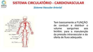 Tem basicamente a FUNÇÃO
de conduzir e distribuir o
volume
tecidos,
sanguíneo aos
para a manutenção
da pressão intravascular e da
oferta de fluxo adequada.
Sistema Vascular Arterial
SISTEMA CIRCULATÓRIO - CARDIOVASCULAR
 