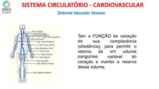 SISTEMA VASCULAR VENOSO
Tem
da
a FUNÇÃO de variação
sua complacência
(elastância), para
um
permitir o
retorno
sanguíneo
de volume
ao
variável
coração e manter a reserva
desse volume.
Sistema Vascular Venoso
SISTEMA CIRCULATÓRIO - CARDIOVASCULAR
 