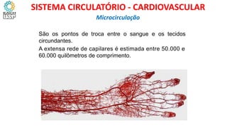 São os pontos de troca entre o sangue e os tecidos
circundantes.
A extensa rede de capilares é estimada entre 50.000 e
60.000 quilômetros de comprimento.
Microcirculação
SISTEMA CIRCULATÓRIO - CARDIOVASCULAR
 