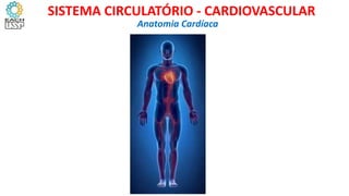 Anatomia Cardíaca
SISTEMA CIRCULATÓRIO - CARDIOVASCULAR
 