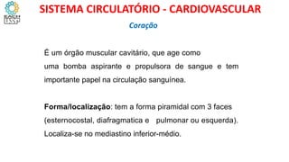É um órgão muscular cavitário, que age como
uma bomba aspirante e propulsora de sangue e tem
importante papel na circulação sanguínea.
Forma/localização: tem a forma piramidal com 3 faces
(esternocostal, diafragmatica e pulmonar ou esquerda).
Localiza-se no mediastino inferior-médio.
Coração
SISTEMA CIRCULATÓRIO - CARDIOVASCULAR
 