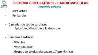 - Mediastino
- Pericárdio
- Camadas do tecido cardíaco:
Epicárdio, Miocárdio e Endocárdio
- Câmaras Cardíacas
- Válvulas
- Vasos da Base
- Grupos de células Marcapasso/Auto-rítmicas
Anatomia Cardíaca
SISTEMA CIRCULATÓRIO - CARDIOVASCULAR
 