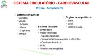 Sistema sanguíneo:
Órgãos hemopoiéticos:
◦
◦
Coração
Vasos:
- Artérias
- Veias
- Capilares
sangue
◦
◦
◦
Timo
Baço
Medula
Sistema linfático: óssea
◦
◦
Linfonodos
Vasos linfáticos:
-Troncos linfáticos
- Vasos linfáticos aferentes e eferentes
- Capilares linfáticos
Linfa
Tonsilas ou amígdalas
◦
◦
◦
Divisão - Componentes
SISTEMA CIRCULATÓRIO - CARDIOVASCULAR
 