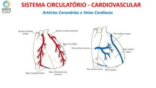 Artérias Coronárias e Veias Cardíacas
SISTEMA CIRCULATÓRIO - CARDIOVASCULAR
 