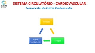 Componentes do Sistema Cardiovascular
Coração
Sangue
Vasos
Sanguíneos
SISTEMA CIRCULATÓRIO - CARDIOVASCULAR
 