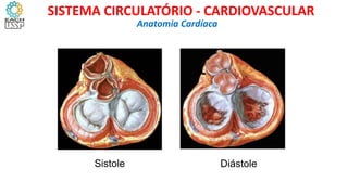 Sistole Diástole
Anatomia Cardíaca
SISTEMA CIRCULATÓRIO - CARDIOVASCULAR
 