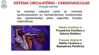 As estreitas relações entre as variáveis
cardiovasculares ou hemodinâmicas fundamentais
são representadas pelas seguintes funções
matemáticas:
Débito Cardíaco =
Frequência Cardíaca
Volume Sistólico
x
Pressão Arterial =
Débito Cardíaco x
Resistência Periférica
Pressão arterial
SISTEMA CIRCULATÓRIO - CARDIOVASCULAR
 