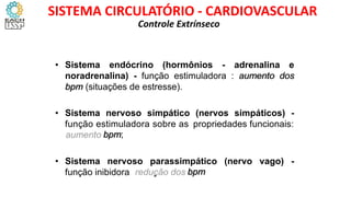 aumento
: redução dos
• Sistema endócrino (hormônios - adrenalina e
noradrenalina) - função estimuladora : aumento dos
bpm (situações de estresse).
• Sistema nervoso simpático (nervos simpáticos) -
função estimuladora sobre as
bpm;
propriedades funcionais:
• Sistema nervoso parassimpático
bpm
(nervo vago) -
função inibidora
Controle Extrínseco
SISTEMA CIRCULATÓRIO - CARDIOVASCULAR
 