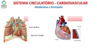 Vasos da Base
Ápice do Coração
Mediastino e Pericárdio
SISTEMA CIRCULATÓRIO - CARDIOVASCULAR
 