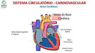 Veias Cavas Superior
E Inferior
Vasos da Base
Cardíaca
Arco da Artéria
AORTA
Veias
Pulmonares
Artéria Tronco
Pulmonar
Veias Cardíacas
SISTEMA CIRCULATÓRIO - CARDIOVASCULAR
 