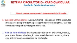 Condução Elétrica Cardiovascular
SISTEMA CIRCULATÓRIO - CARDIOVASCULAR
Existem 2 estruturas importantes para o funcionamento elétrico do coração:
1. Junções Comunicantes (Gap junctions) – são canais entre as células
musculares que permitem a passagem da corrente elétrica, fazendo
com que se espalhe ao longo do coração.
1. Células Auto-rítmicas (Marcapasso) – são auto- excitáveis, ou seja,
produzem Potenciais de Ação para as células musculares e, ainda,
estabelecem o ritmo cardíaco de contração.
 