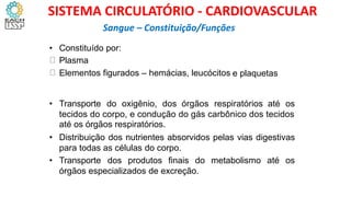 • Constituído por:
Plasma
Elementos figurados – hemácias, leucócitos e plaquetas
• Transporte do oxigênio, dos órgãos respiratórios até os
tecidos do corpo, e condução do gás carbônico dos tecidos
até os órgãos respiratórios.
Distribuição dos nutrientes absorvidos pelas vias digestivas
para todas as células do corpo.
•
• Transporte dos produtos finais do metabolismo até os
órgãos especializados de excreção.
Sangue – Constituição/Funções
SISTEMA CIRCULATÓRIO - CARDIOVASCULAR
 