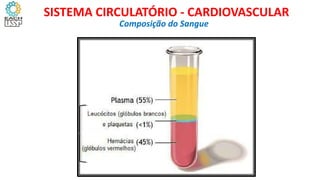 Composição do Sangue
SISTEMA CIRCULATÓRIO - CARDIOVASCULAR
 