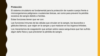 Protección
El sistema circulatorio es fundamental para la protección de nuestro cuerpo frente a
microorganismos peligrosos o sustancias tóxicas, así como para prevenir la pérdida
excesiva de sangre debido a heridas.
Estas funciones tienen que ver con:
Las funciones inmunes de las células que circulan en la sangre, los leucocitos o
glóbulos blancos, que viajan en la sangre y que maduran en los órganos linfoides.
Los mecanismos de coagulación que actúan sobre vasos sanguíneos que han sufrido
algún daño físico y que previenen la pérdida de sangre.
 