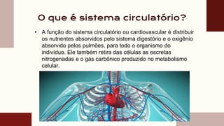 O que é sistema circulatório?
• A função do sistema circulatório ou cardiovascular é distribuir
os nutrientes absorvidos pelo sistema digestório e o oxigênio
absorvido pelos pulmões, para todo o organismo do
indivíduo. Ele também retira das células as escretas
nitrogenadas e o gás carbônico produzido no metabolismo
celular.
 