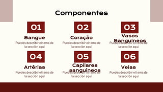 Sangue Coração
Artérias Capilares
sanguíneos
01 02
Puedes describir el tema de
la sección aquí
04
Puedes describir el tema de
la sección aquí
05
Puedes describir el tema de
la sección aquí
Componentes
Puedes describir el tema de
la sección aquí
03
Puedes describir el tema de
la sección aquí
06
Puedes describir el tema de
la sección aquí
Vasos
Sanguineos
Veias
 