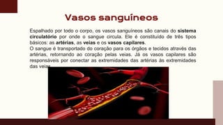 Vasos sanguíneos
Espalhado por todo o corpo, os vasos sanguíneos são canais do sistema
circulatório por onde o sangue circula. Ele é constituído de três tipos
básicos: as artérias, as veias e os vasos capilares.
O sangue é transportado do coração para os órgãos e tecidos através das
artérias, retornando ao coração pelas veias. Já os vasos capilares são
responsáveis por conectar as extremidades das artérias às extremidades
das veias.
 