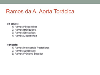 Ramos da A. Aorta Torácica
Viscerais:
1) Ramos Pericárdicos
2) Ramos Brônquicos
3) Ramos Esofágicos
4) Ramos Mediastinais
Parietais:
1) Ramos Intercostais Posteriores
2) Ramos Subcostais
3) Ramos Frênicos Superior
 