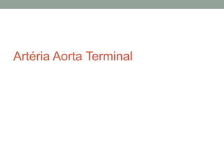 Artéria Aorta Terminal
 